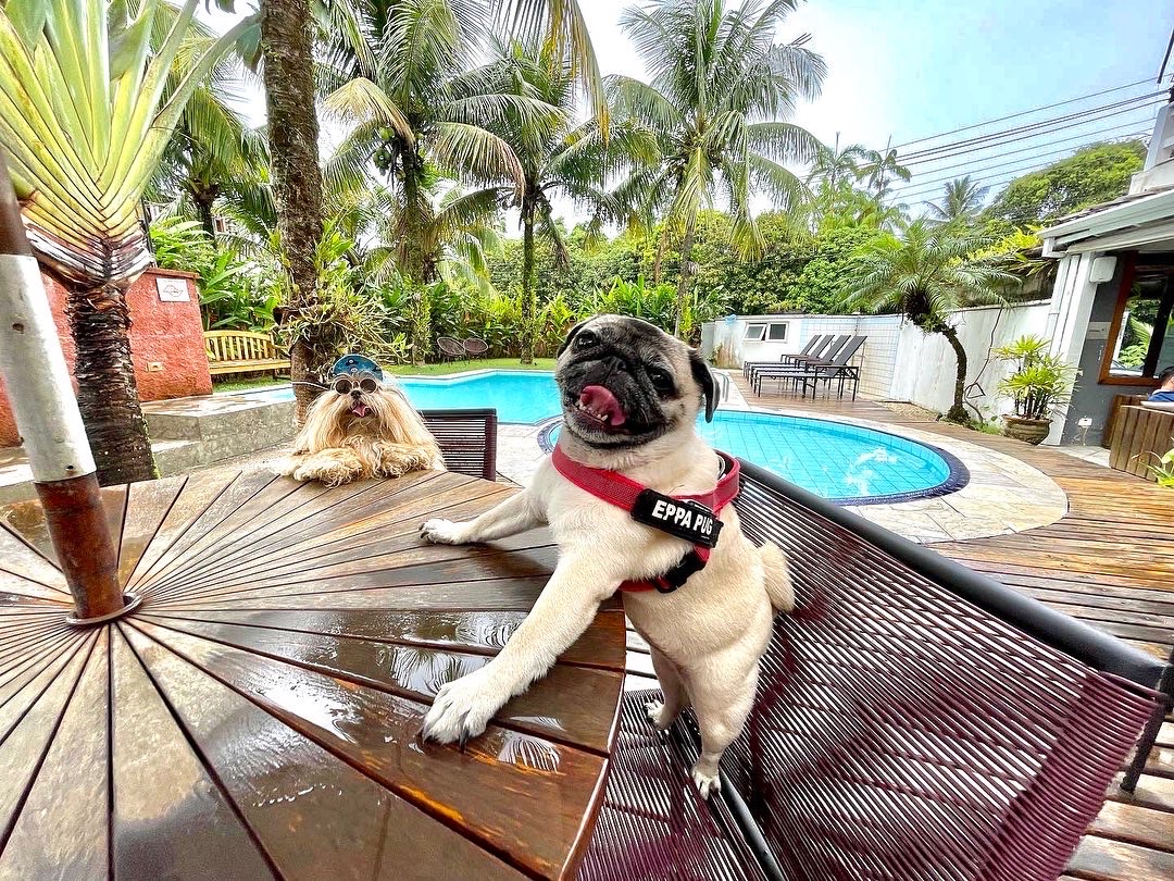 Recomendamos a Pousada Toca da Praia, que é DogFriendly
