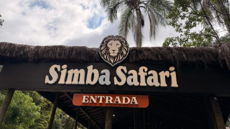 Quer ver leões, tigres, girafas e muito mais de pertinho?