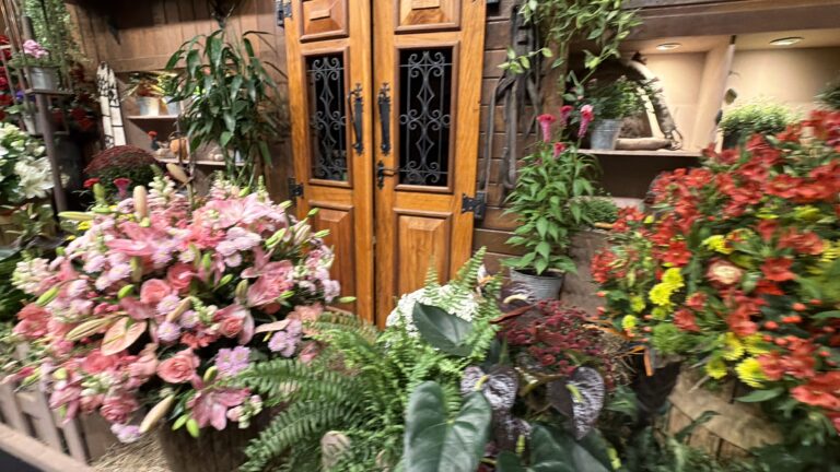 Expoflora 2026 em Holambra: preços, atrações, gastronomia e Magic Garden
