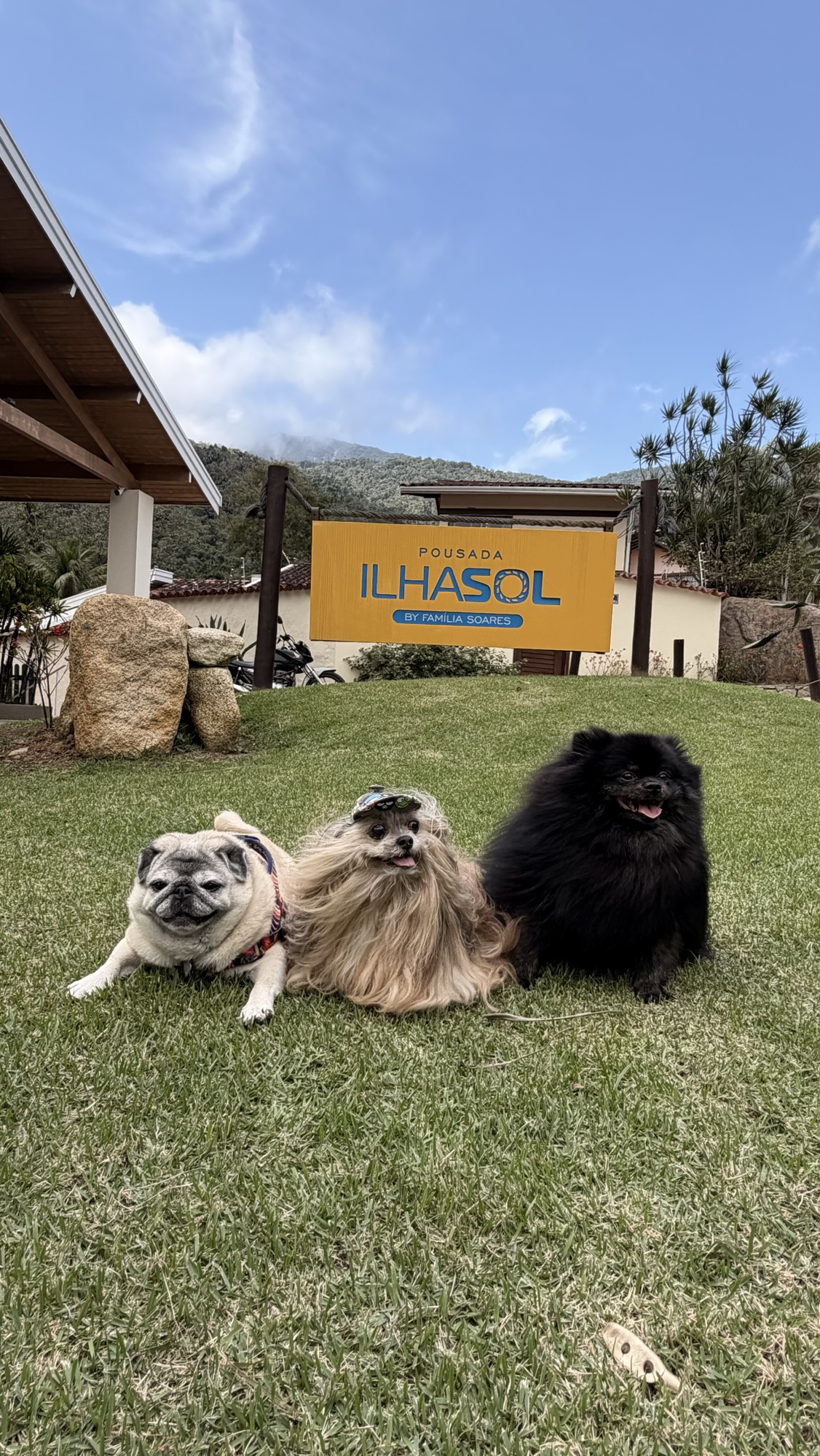 Pousada Ilhasol em Ilhabela: vale a experiência com os dogs?